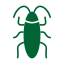 Bed bug and cockroach extermination