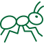 Ant and insect pest control